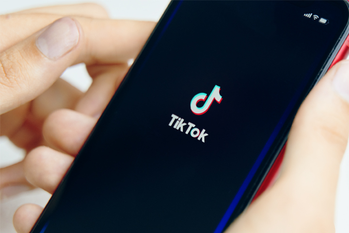 TikTok運用代行の価格帯別に任せられる範囲